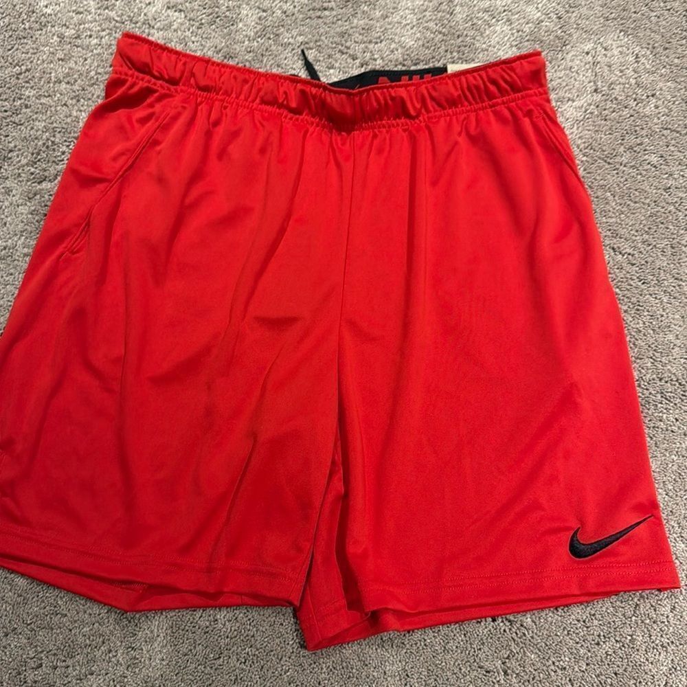 Mens Size Large standard fit Nike shorts  NWT